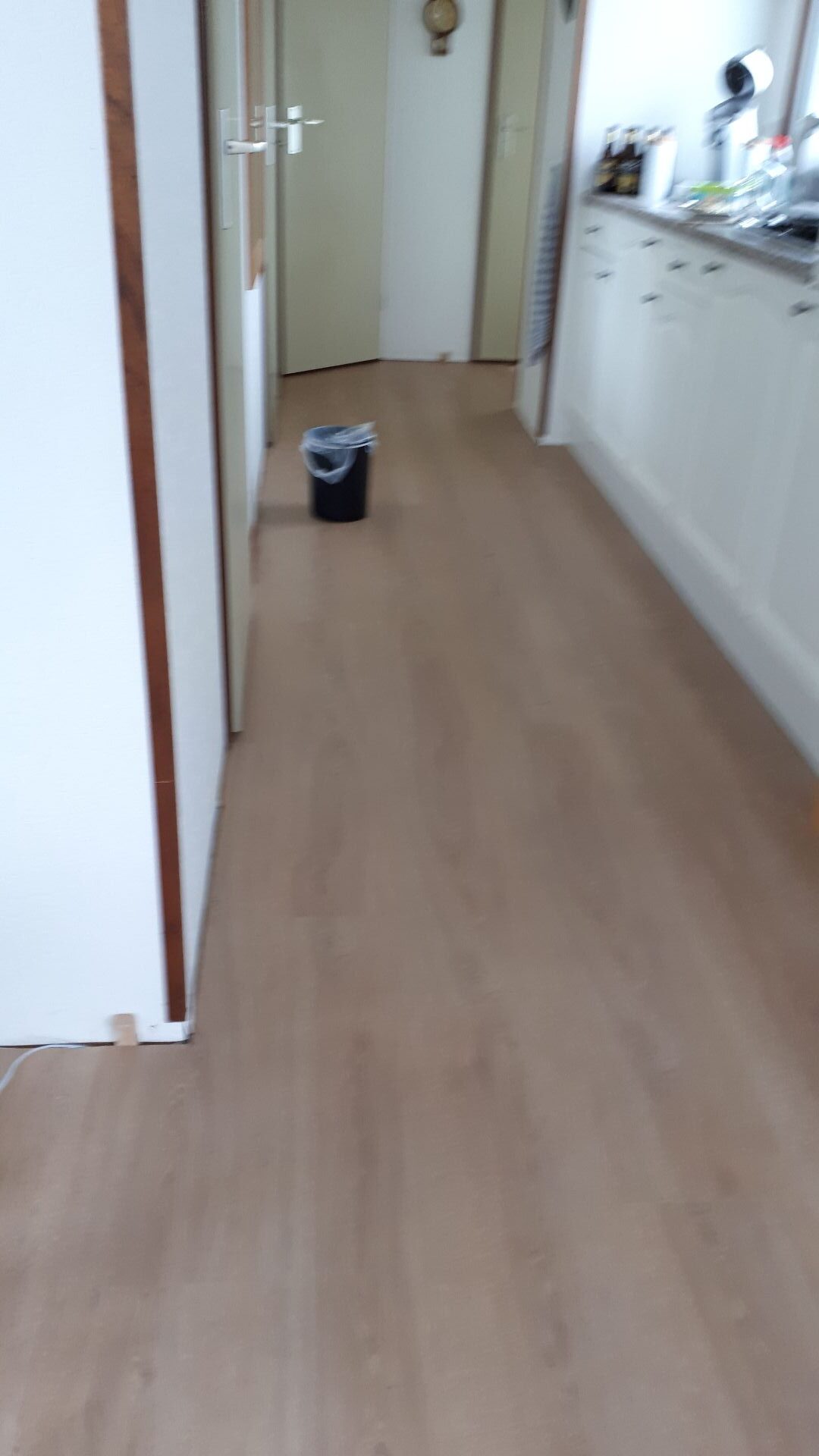 Voor geen betere foto kunnen vinden